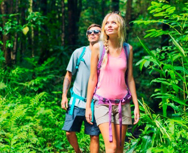 Manoa Falls Moped Tour Route