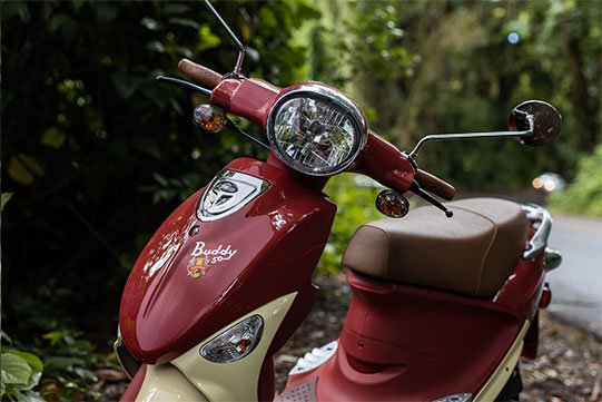 Genuine Buddy 50cc International