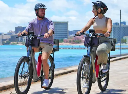 Hawaiian Style Rewards