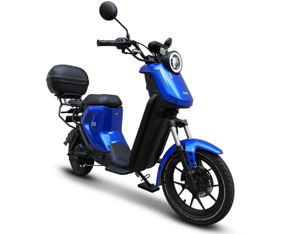 Two-Person Electric Bike Rental